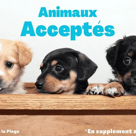 Maison De Vacances A 1200M De La Plage, Animaux Admis - Fr-1-323-535 *