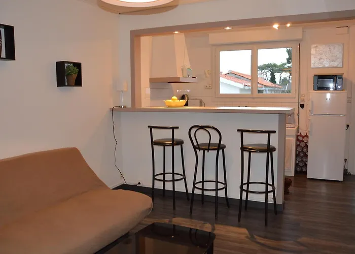 בית נופש Maison De Vacances A 1200M De La Plage, Animaux Admis - Fr-1-323-535 סנט-אילר-דה-רייה